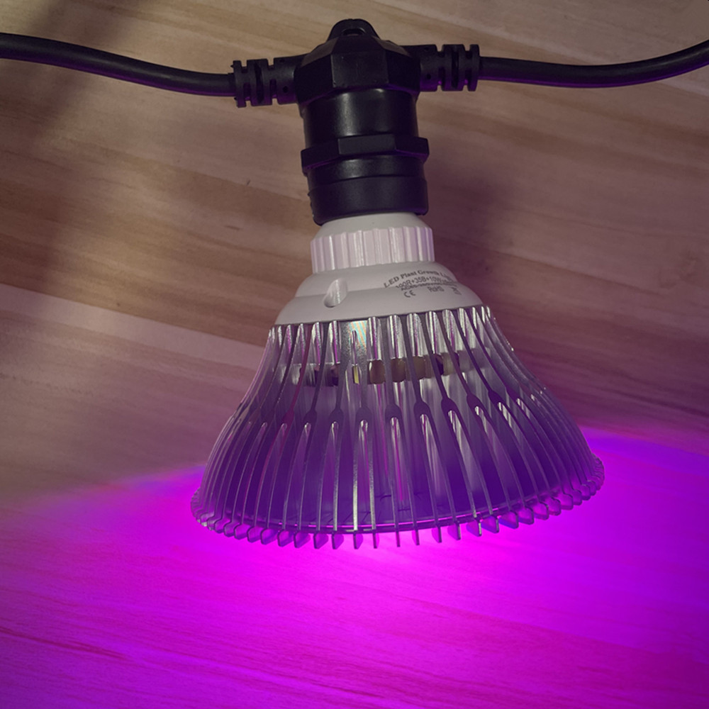 10M Cable LED String Commercia - Outdoor Lighting In Ground incelemesi ve fiyatı