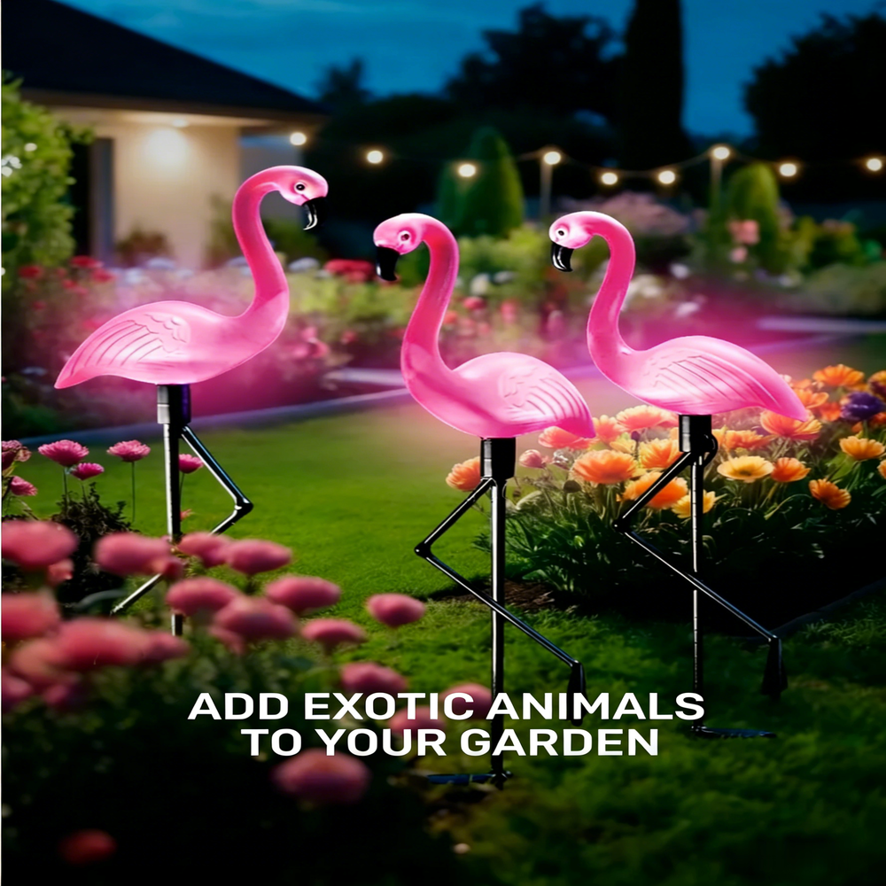 3Pcs Solar Powered Flamingo Gr - Outdoor Lighting In Ground incelemesi ve fiyatı